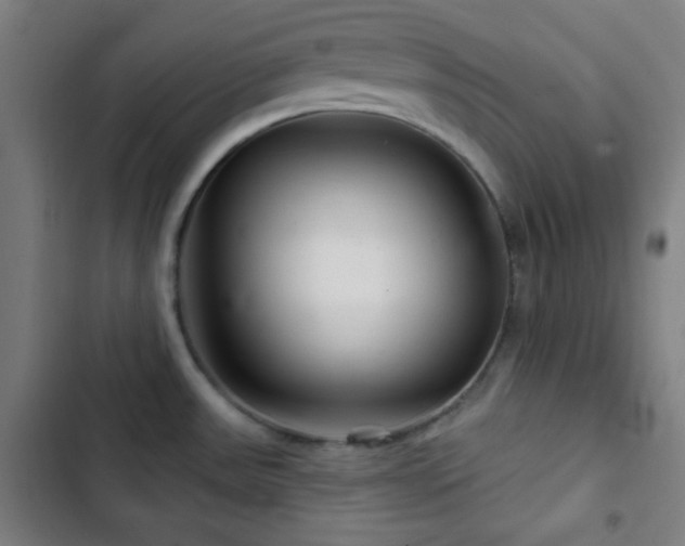 X0000103321531200809051135