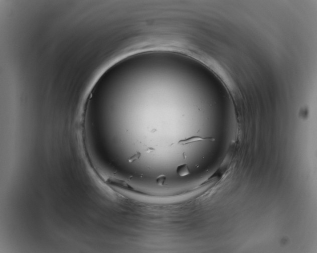 X0000103321532200809051135