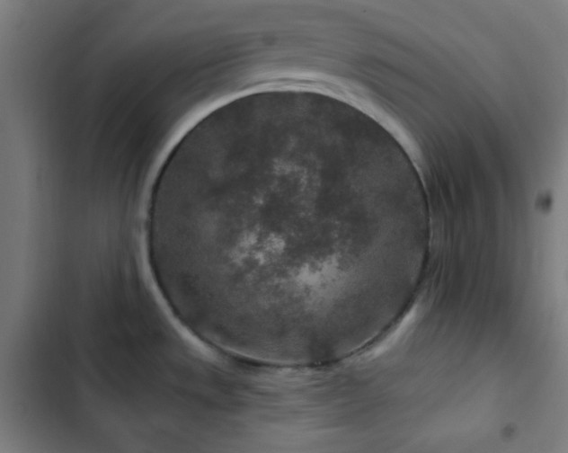 X0000103321533200809051135