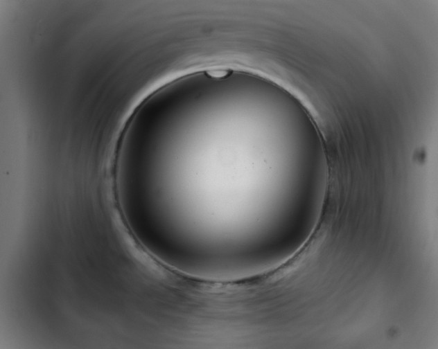 X0000103321534200809051135