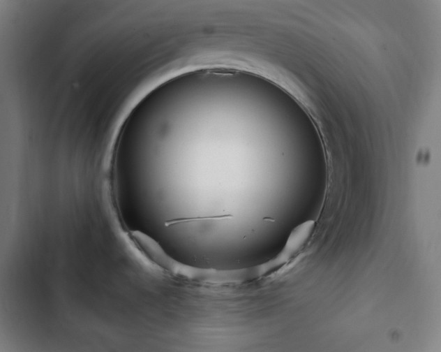 X0000103321536200809051135