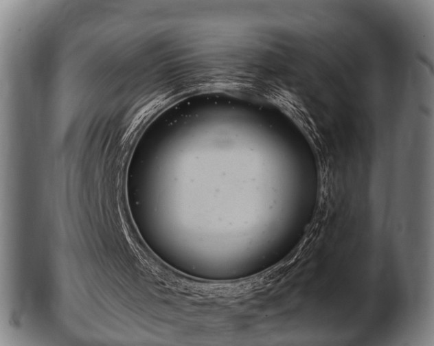 X0000103320001200809121158