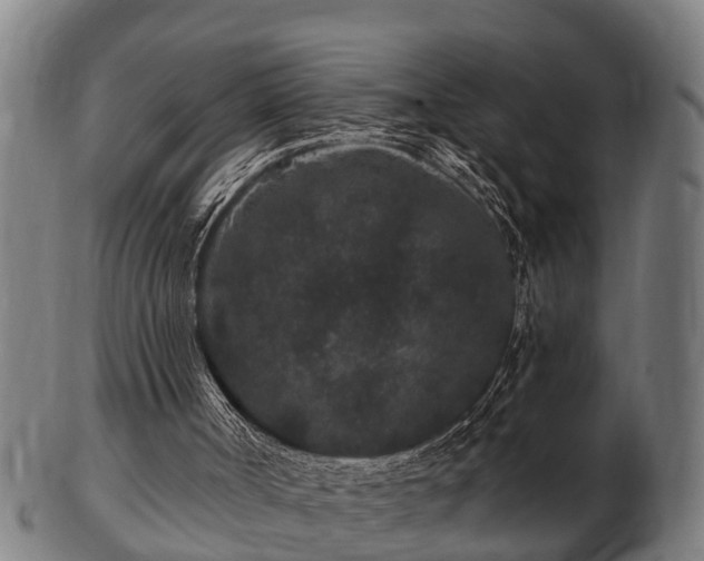 X0000103320002200809121158