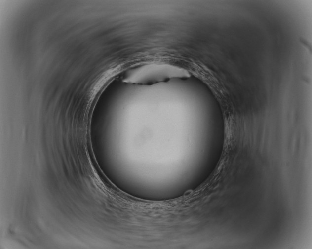 X0000103320003200809121158