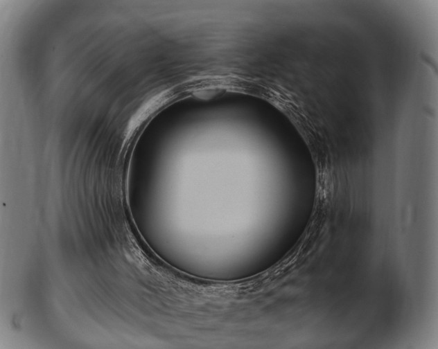 X0000103320004200809121158