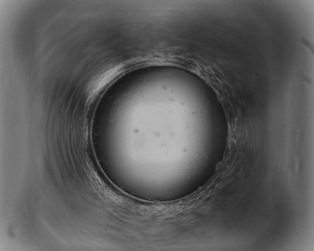 X0000103320005200809121158