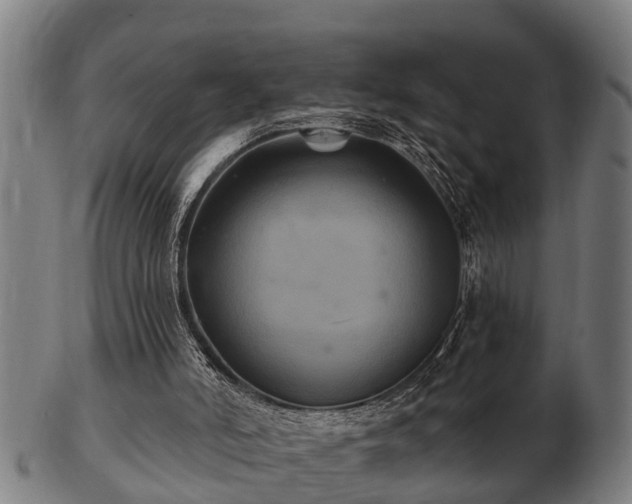 X0000103320006200809121158