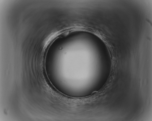 X0000103320007200809121158