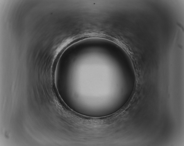 X0000103320008200809121158