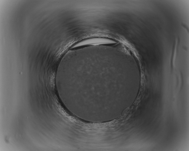 X0000103320009200809121158