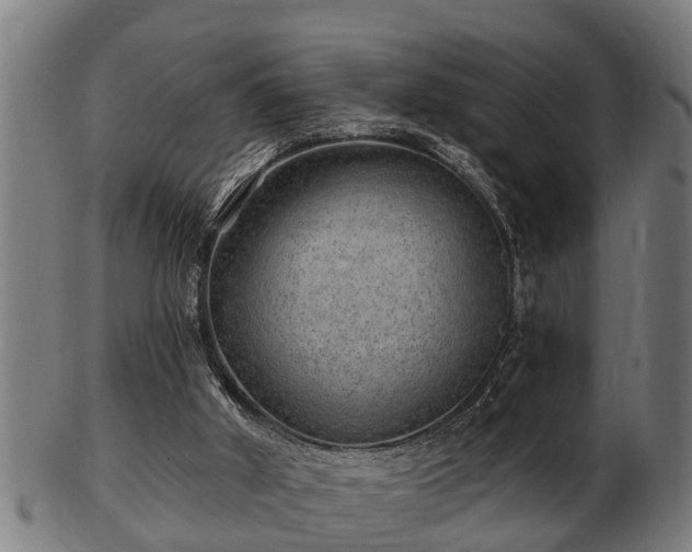 X0000103320010200809121158