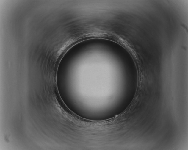 X0000103320011200809121158