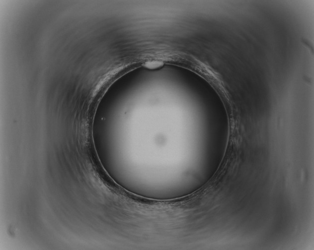 X0000103320012200809121158