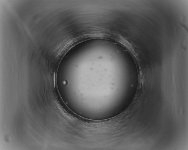 X0000103320013200809121158