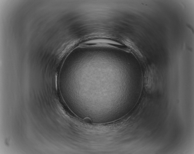 X0000103320014200809121158