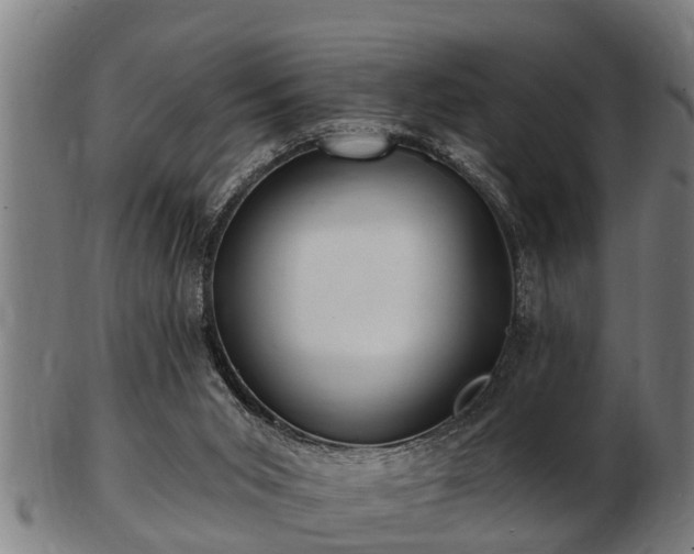 X0000103320015200809121158