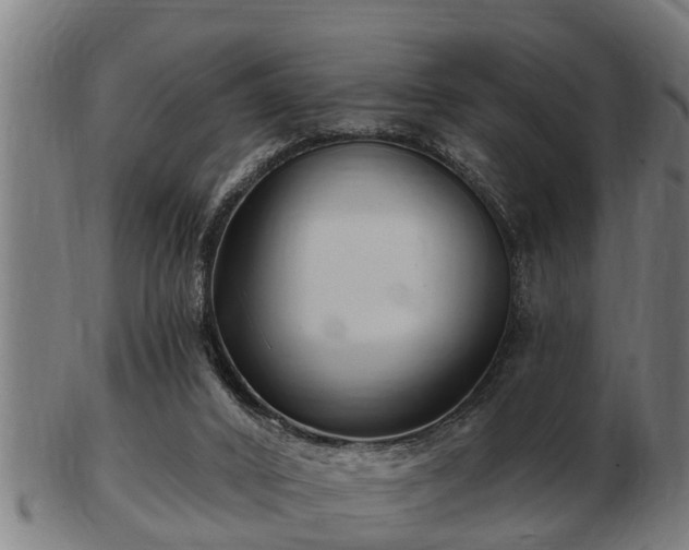 X0000103320016200809121158