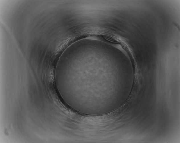 X0000103320017200809121158