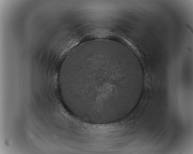 X0000103320018200809121158