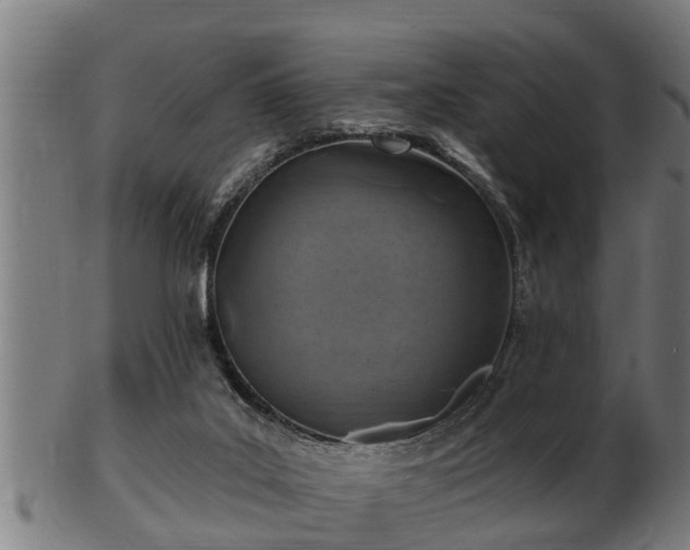 X0000103320019200809121158