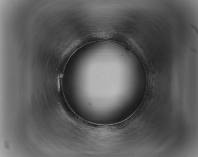 X0000103320020200809121158