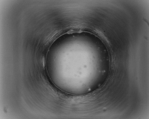 X0000103320021200809121158