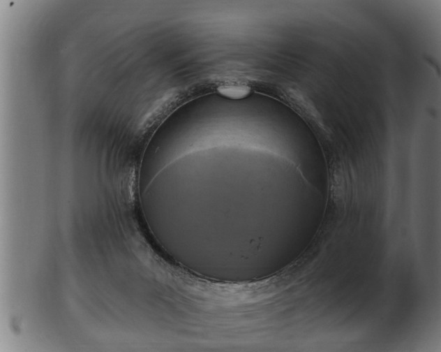 X0000103320023200809121158