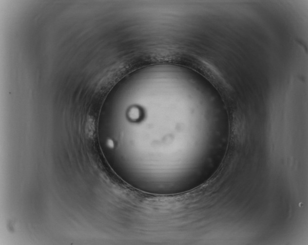 X0000103320025200809121158