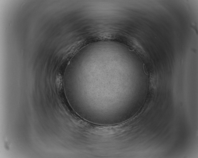 X0000103320029200809121158