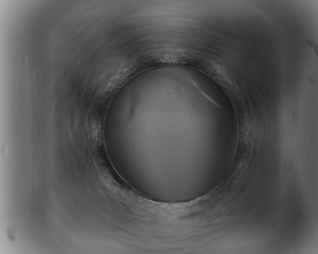 X0000103320031200809121158