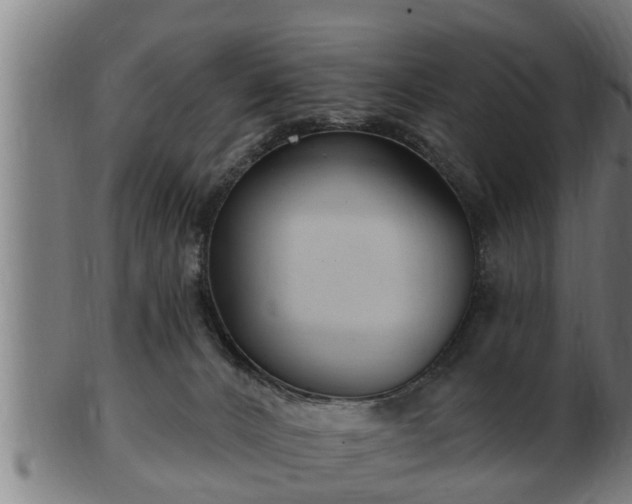 X0000103320032200809121158