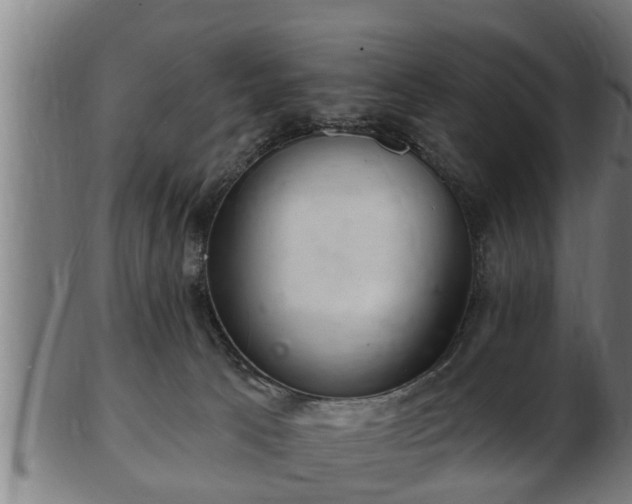 X0000103320033200809121158