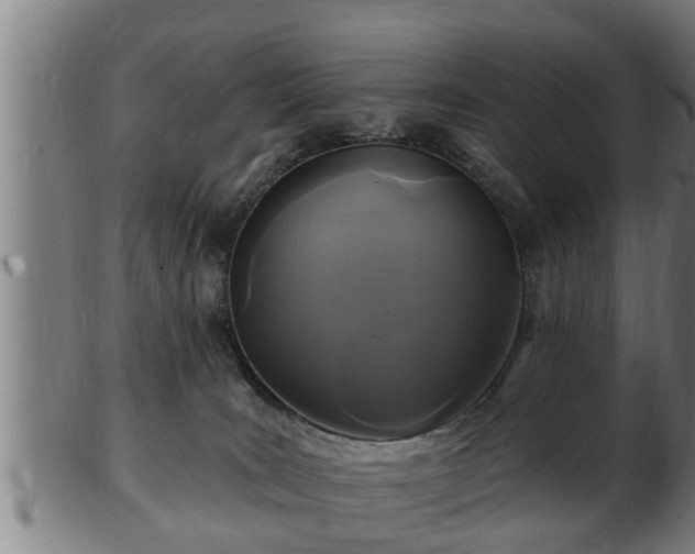 X0000103320035200809121158