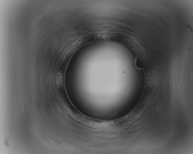 X0000103320036200809121158