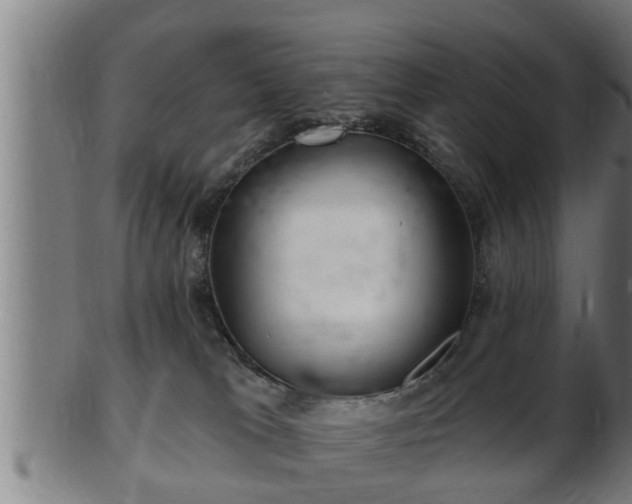 X0000103320037200809121158