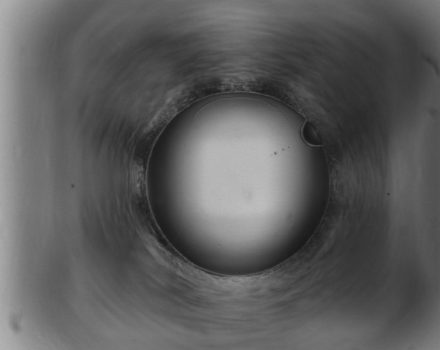 X0000103320038200809121158