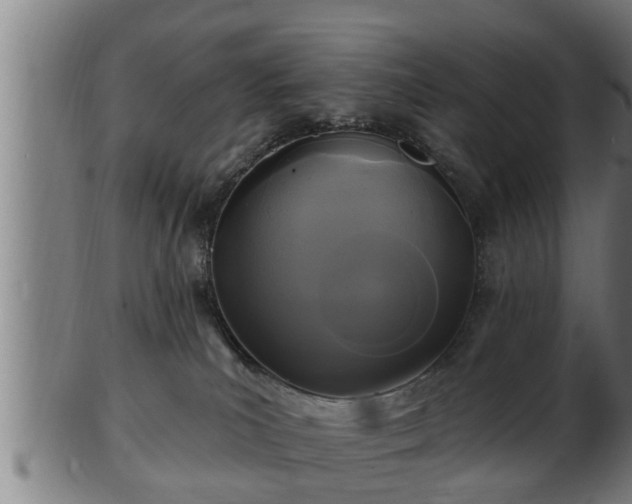 X0000103320039200809121158