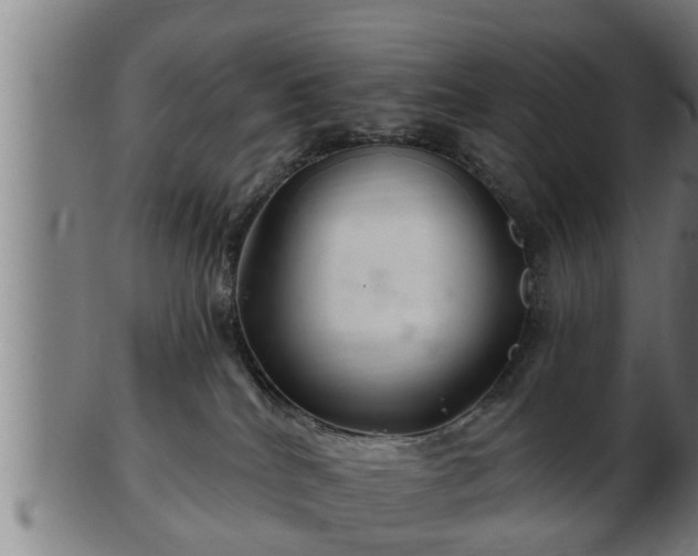 X0000103320040200809121158