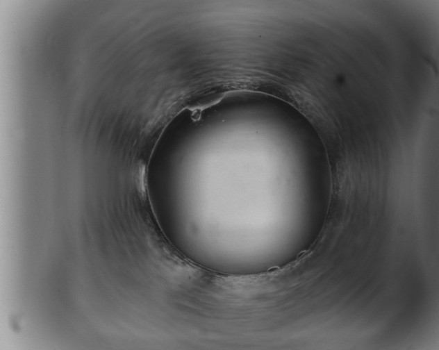 X0000103320041200809121158