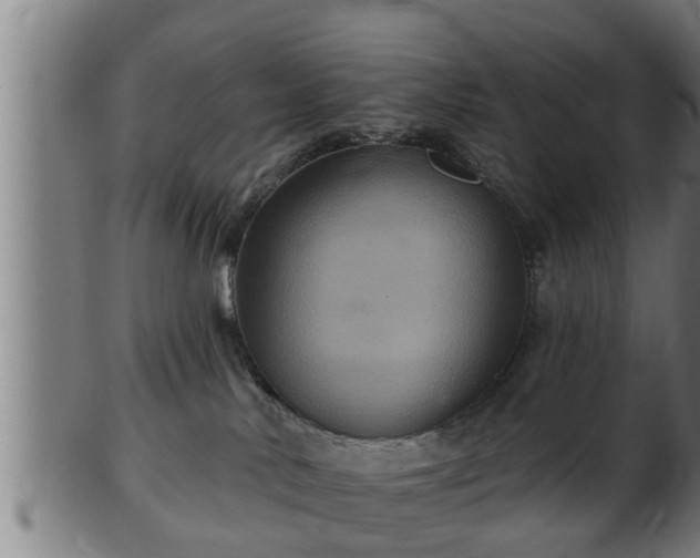 X0000103320042200809121158