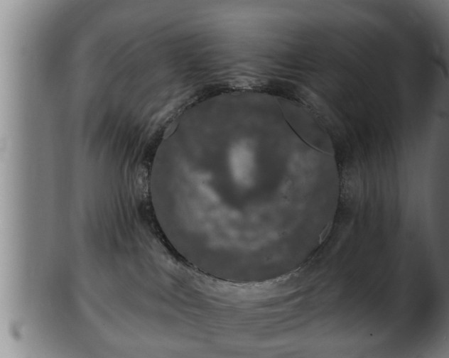 X0000103320043200809121158