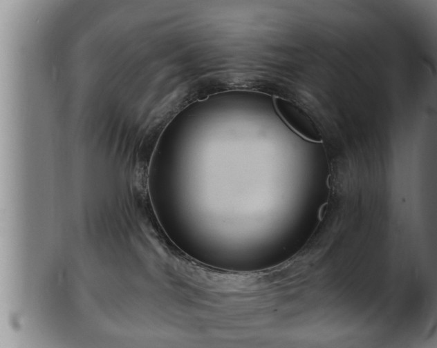 X0000103320044200809121158