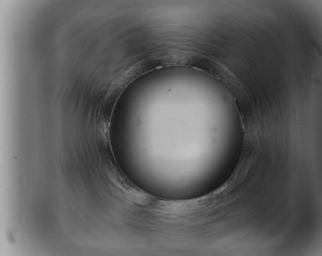 X0000103320045200809121158