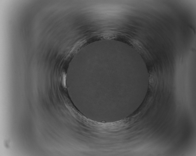 X0000103320046200809121158