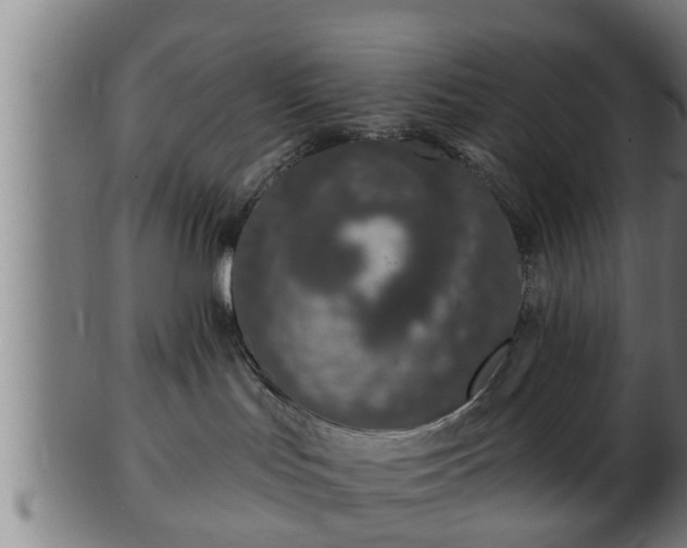 X0000103320047200809121158