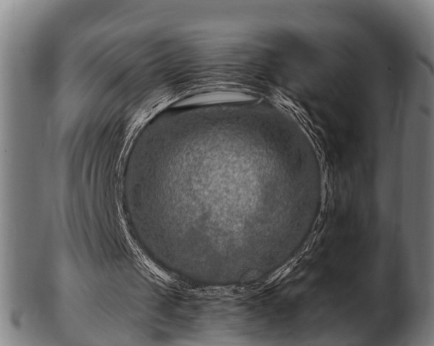 X0000103320049200809121157