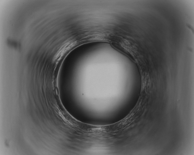 X0000103320050200809121157