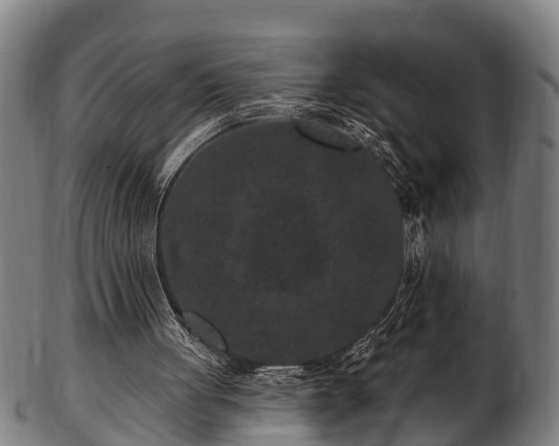 X0000103320051200809121157