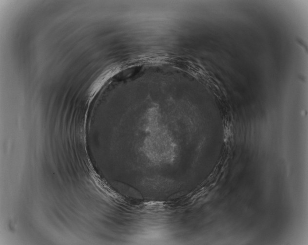 X0000103320052200809121157