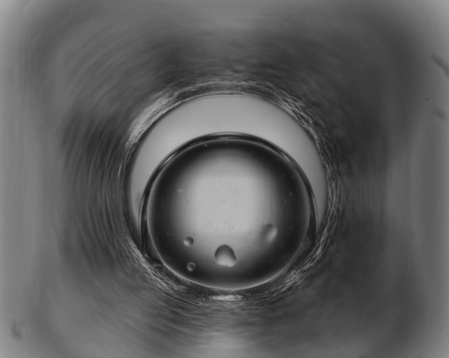 X0000103320053200809121157